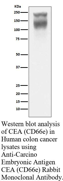 生物相关数据