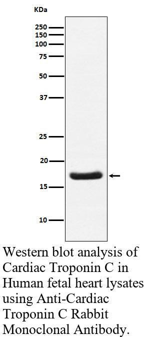 生物相关数据