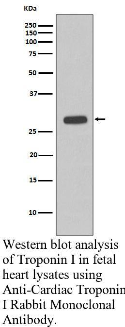 生物相关数据
