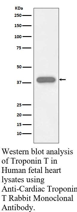 生物相关数据