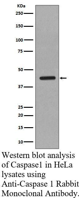生物相关数据
