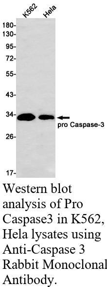 生物相关数据
