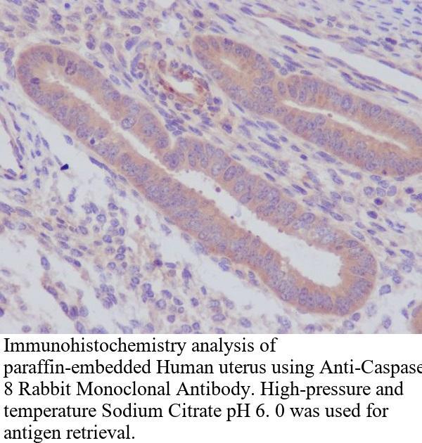 生物相关数据