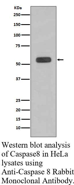 生物相关数据