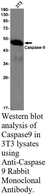 生物相关数据