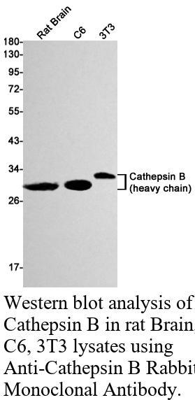 生物相关数据