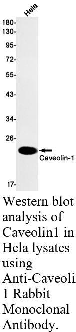生物相关数据