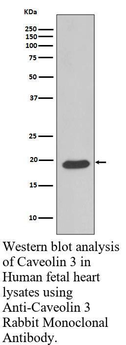 生物相关数据