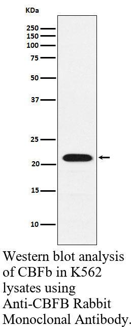 生物相关数据