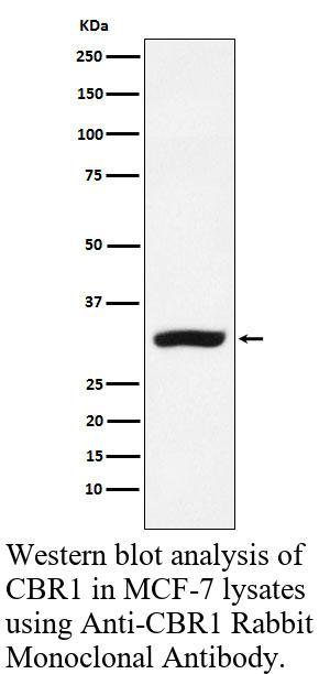 生物相关数据