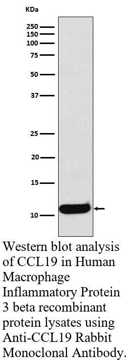 生物相关数据