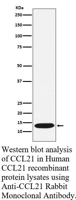 生物相关数据