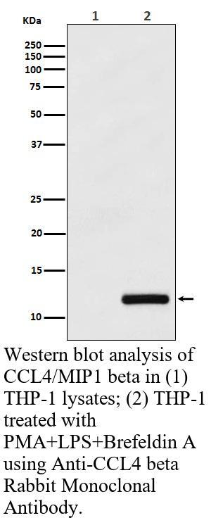 生物相关数据