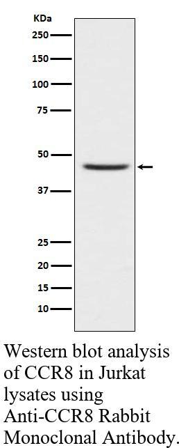 生物相关数据