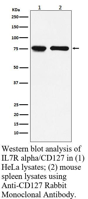 生物相关数据