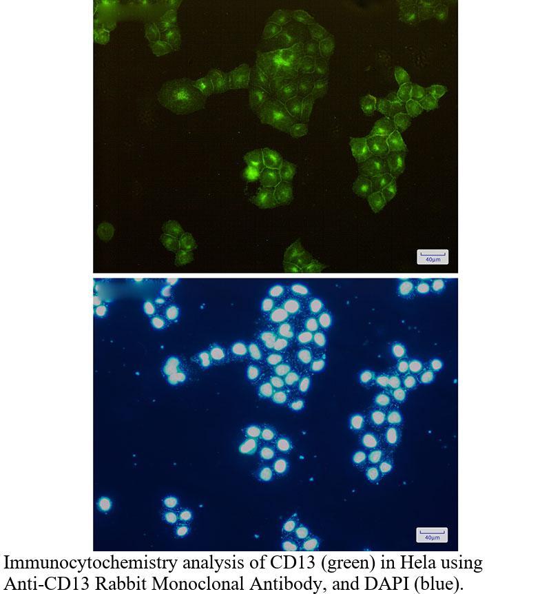 生物相关数据