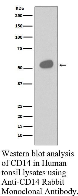 生物相关数据