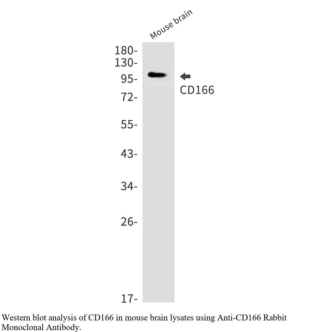 生物相关数据