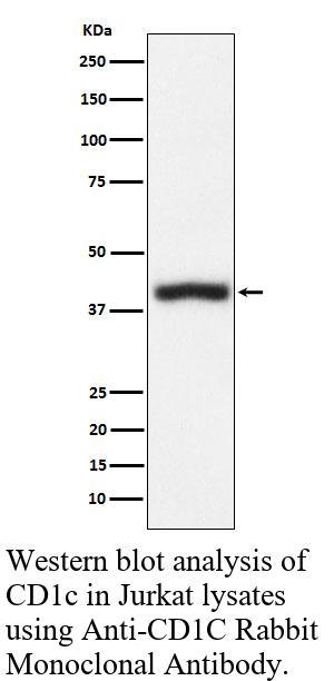 生物相关数据