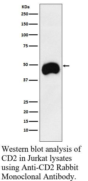 生物相关数据