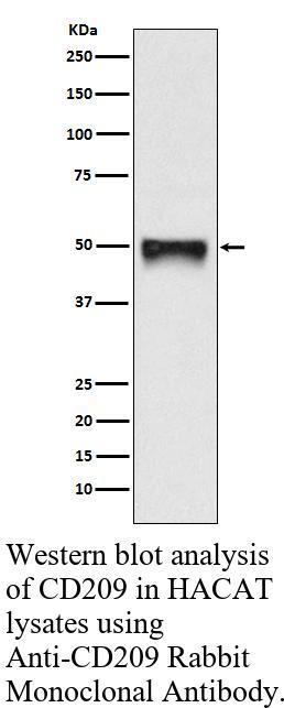 生物相关数据