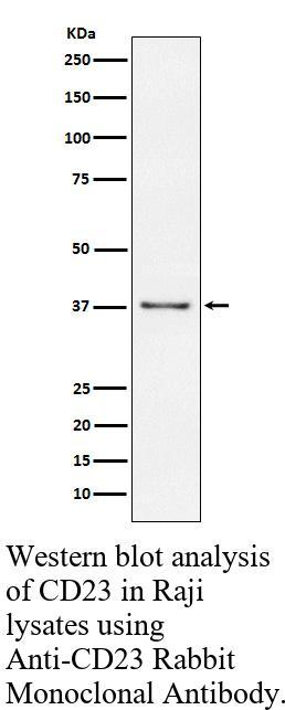 生物相关数据
