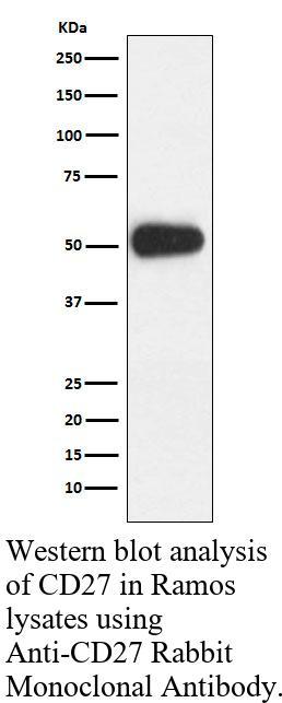 生物相关数据