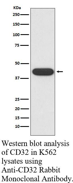 生物相关数据