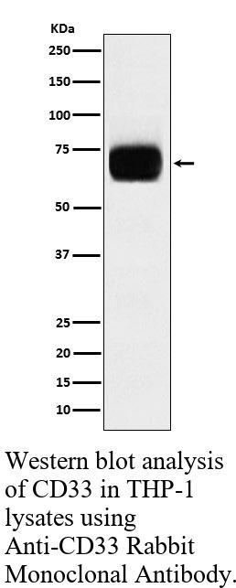生物相关数据