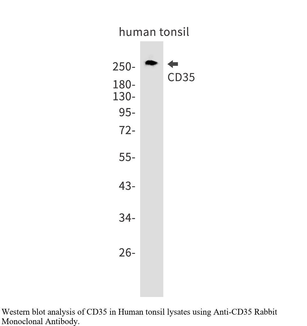 生物相关数据