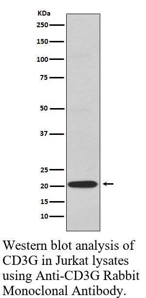 生物相关数据