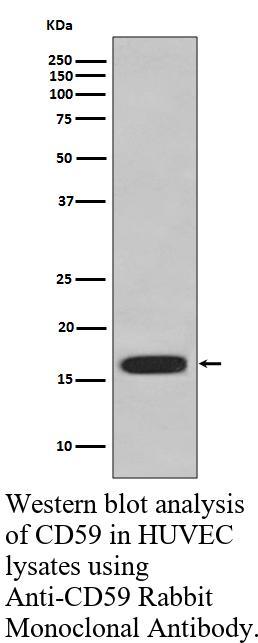 生物相关数据