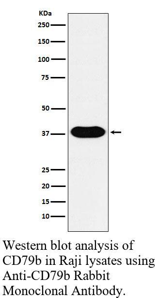 生物相关数据