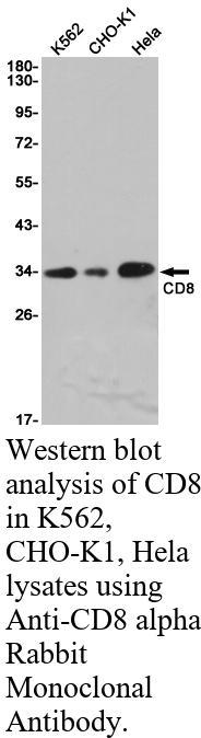 生物相关数据