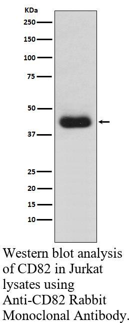 生物相关数据