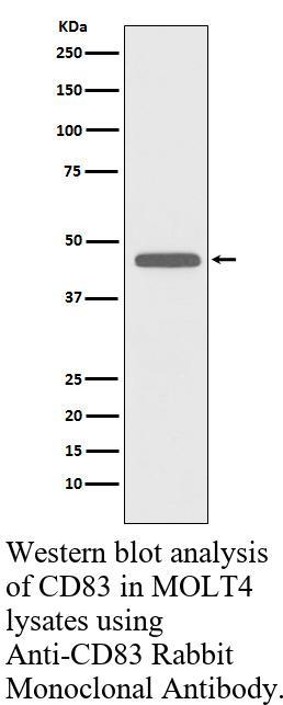 生物相关数据