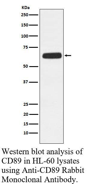 生物相关数据