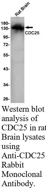 生物相关数据