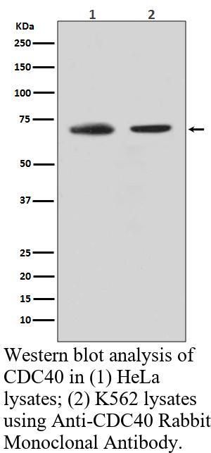 生物相关数据