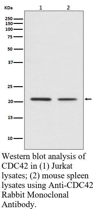 生物相关数据