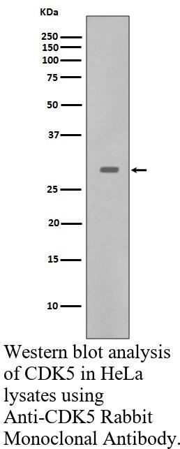 生物相关数据