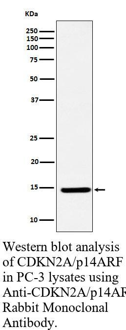 生物相关数据