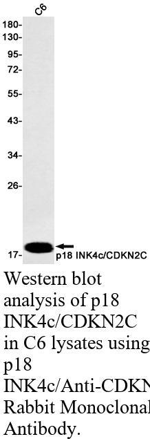 生物相关数据