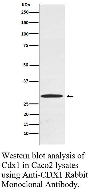 生物相关数据