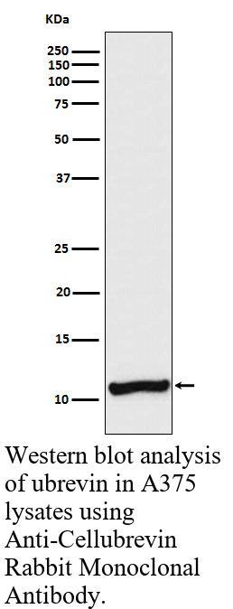 生物相关数据