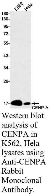 生物相关数据