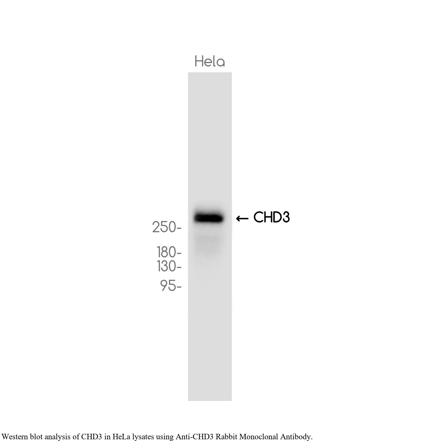 生物相关数据