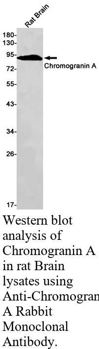 生物相关数据