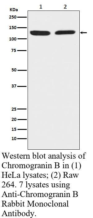 生物相关数据