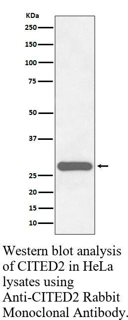 生物相关数据
